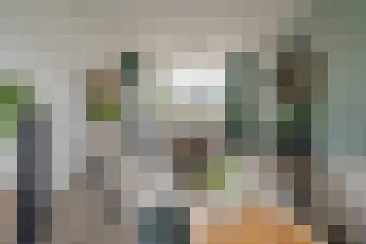 Hietkampen 6 Westerbork thumbnail 12