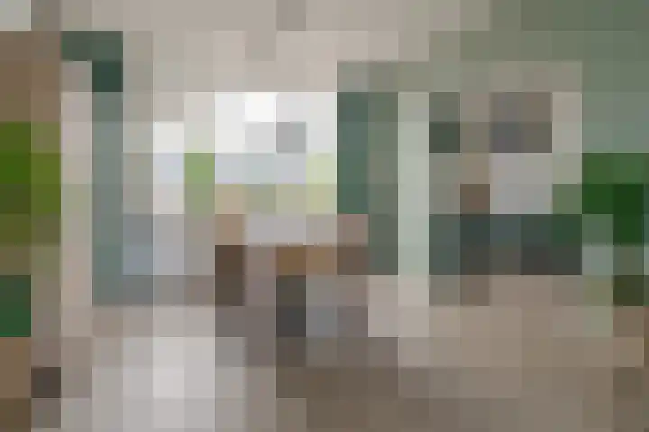 Hietkampen 6 Westerbork thumbnail 13