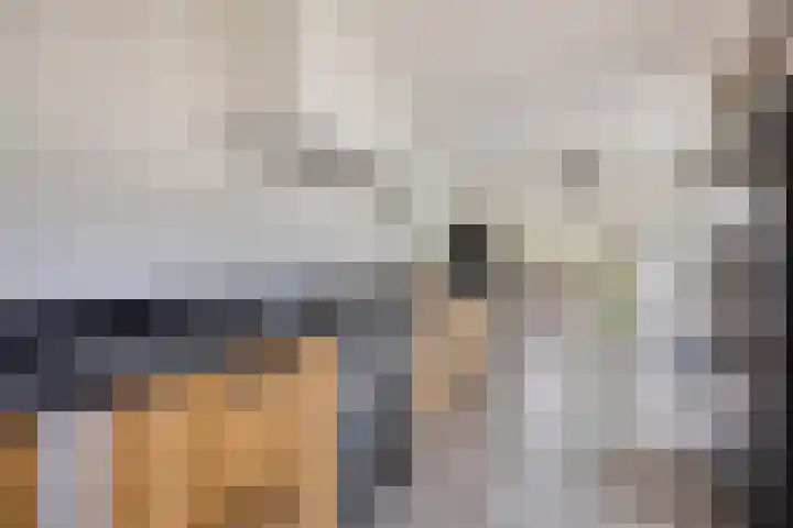 Hijlekamp 2 Mook thumbnail 12