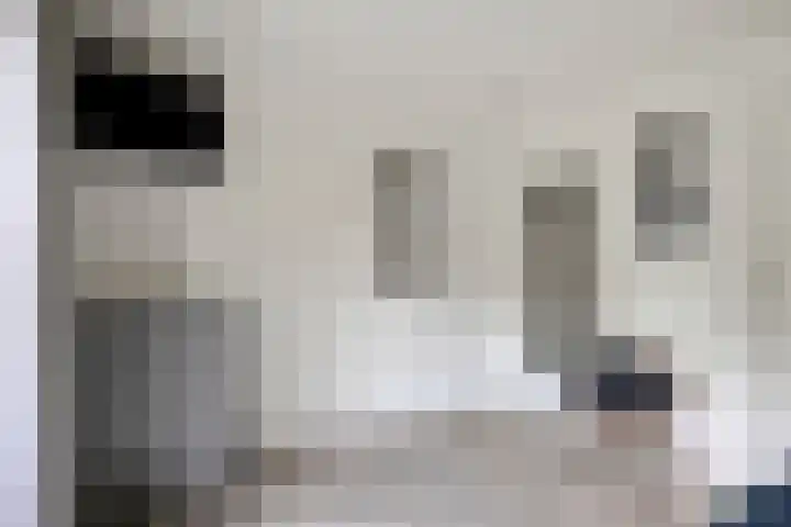 Hijlekamp 2 Mook thumbnail 17
