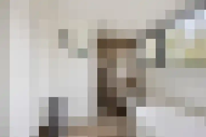 Hijlekamp 2 Mook thumbnail 33