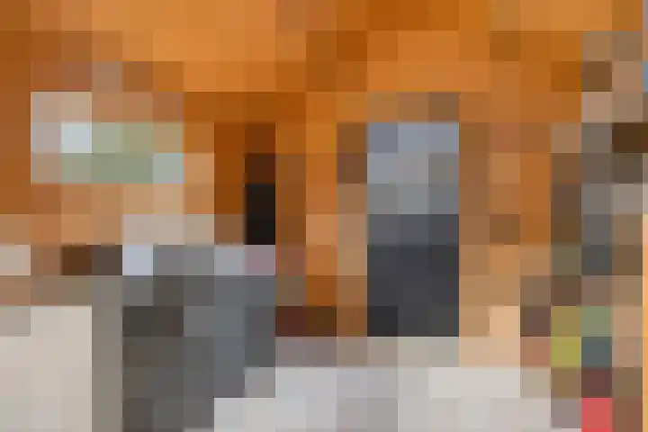 Hijlekamp 2 Mook thumbnail 57