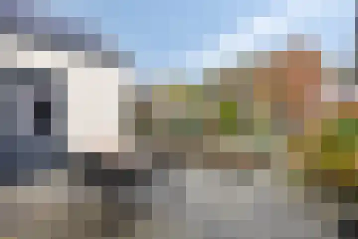 Hijlekamp 2 Mook thumbnail 59