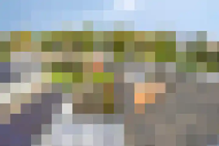 Hijlekamp 2 Mook thumbnail 61