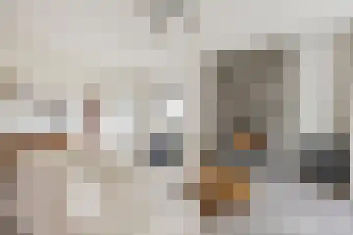 Hijlekamp 2 Mook thumbnail 7