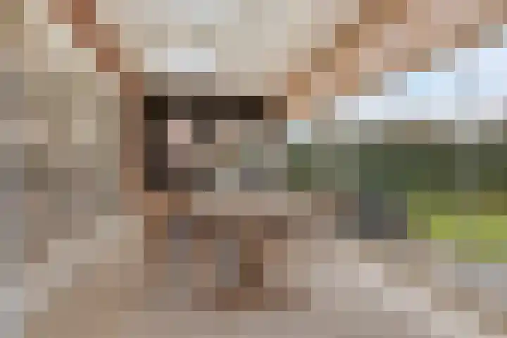 Hilakker 41 Bakel thumbnail 19