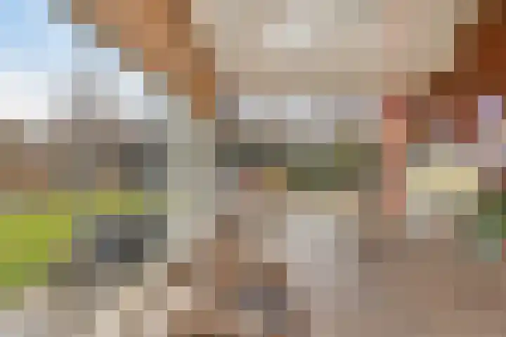 Hilakker 41 Bakel thumbnail 20