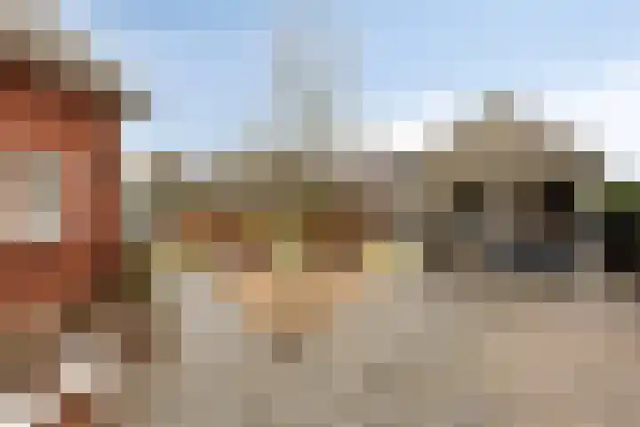 Hilakker 41 Bakel thumbnail 45