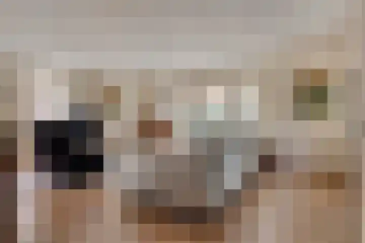 Hilakker 41 Bakel thumbnail 5