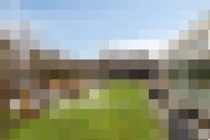 Hilakker 41 Bakel thumbnail 50