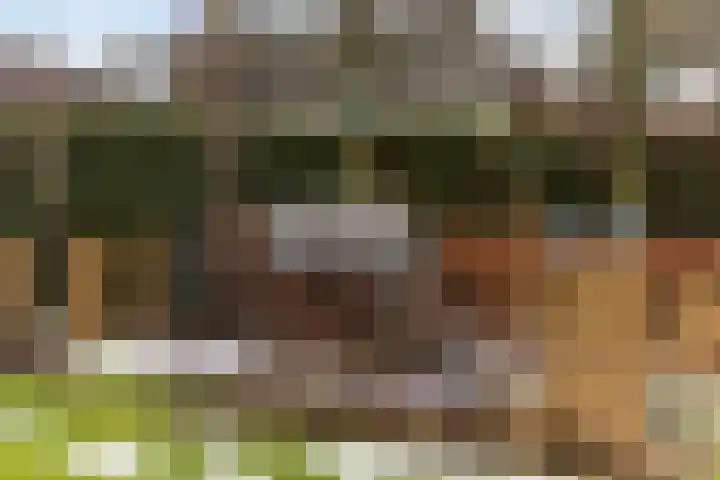 Hilakker 41 Bakel thumbnail 52