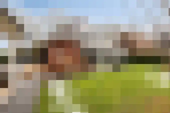 Hilakker 41 Bakel thumbnail 53