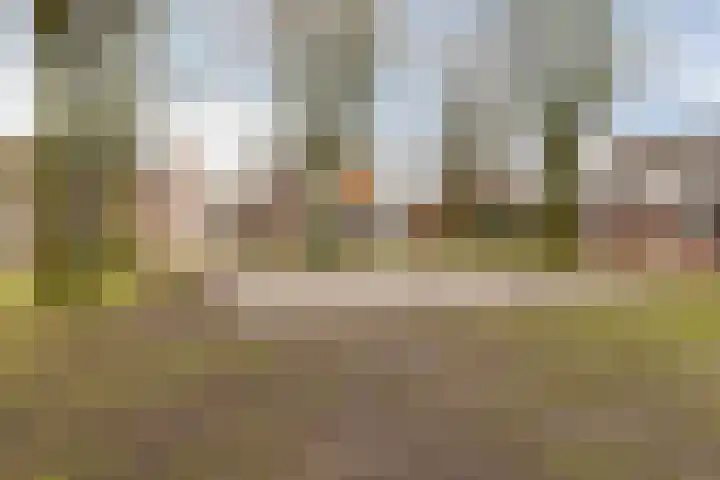 Hilakker 41 Bakel thumbnail 54
