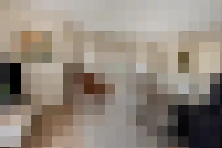 Hilakker 41 Bakel thumbnail 7