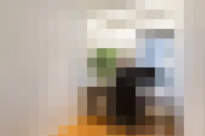 Hilbersplein 4 Beverwijk thumbnail 30