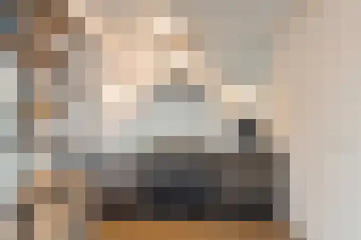 Hildegaarde 14 Maasland thumbnail 16