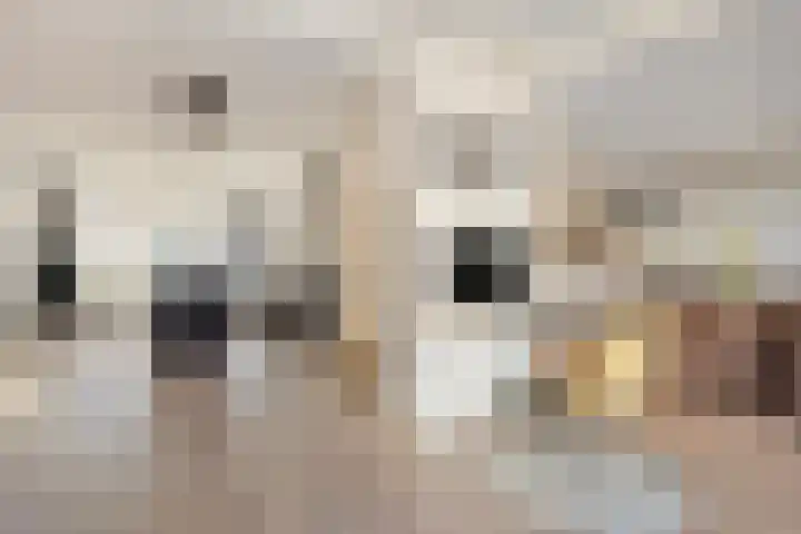 Hildegaarde 14 Maasland thumbnail 19