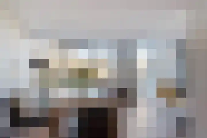 Hildegaarde 14 Maasland thumbnail 21