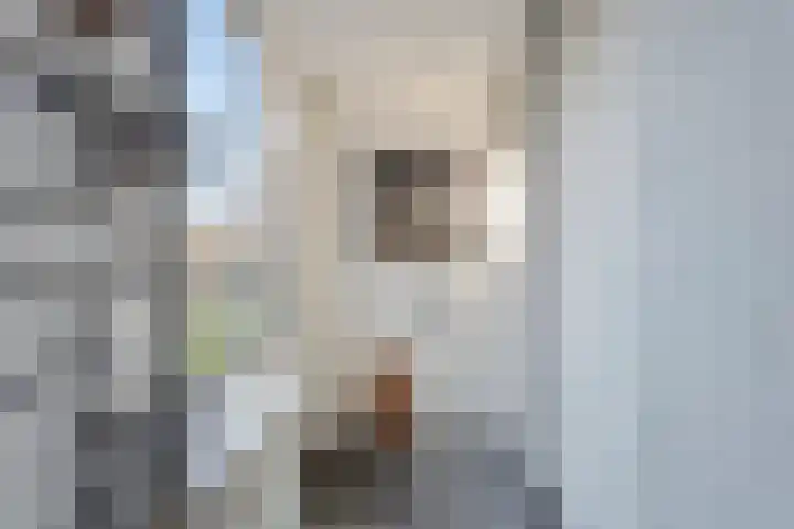 Hildegaarde 14 Maasland thumbnail 24