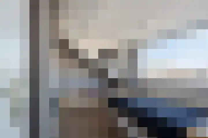Hildegaarde 14 Maasland thumbnail 36