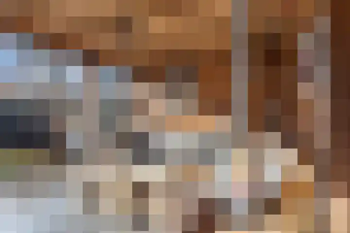 Hildegaarde 14 Maasland thumbnail 42