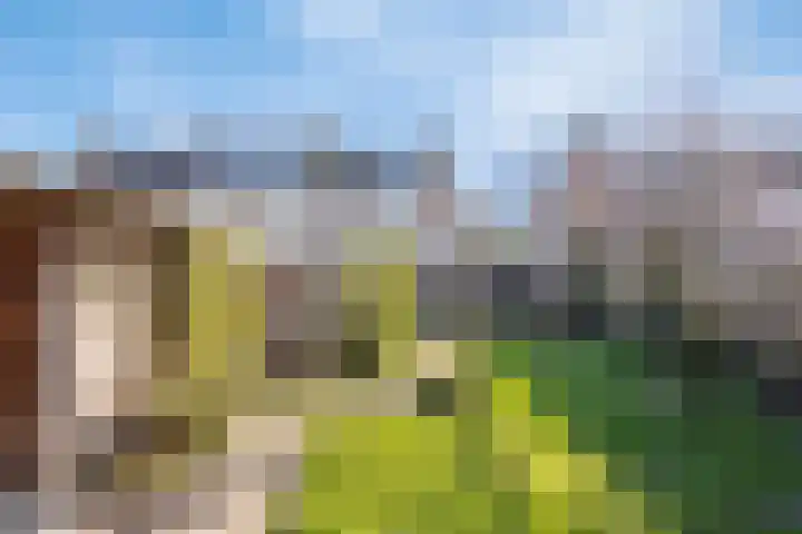 Hildegaarde 14 Maasland thumbnail 43