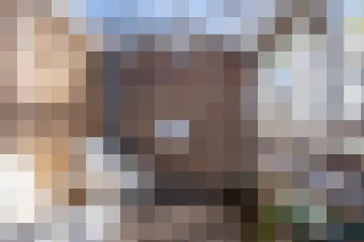 Hildegaarde 14 Maasland thumbnail 44