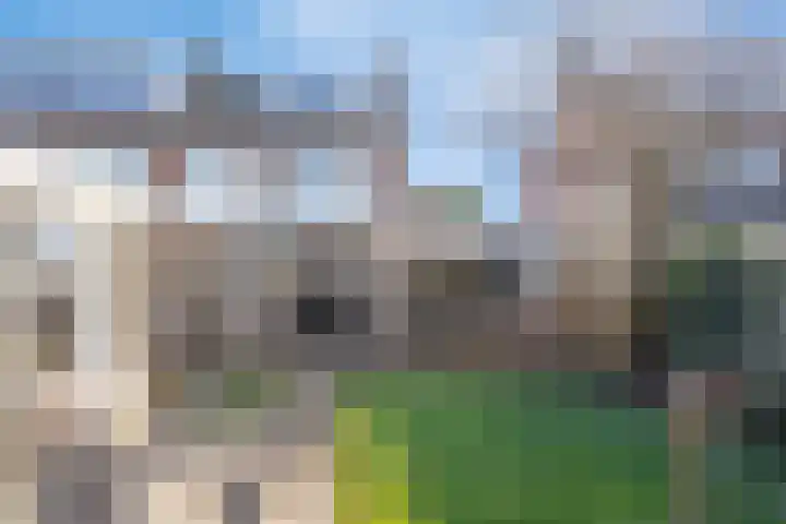 Hildegaarde 14 Maasland thumbnail 45
