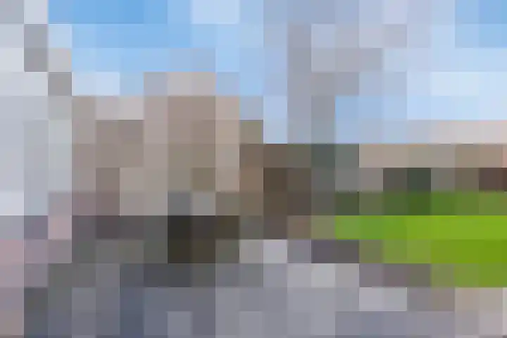 Hildegaarde 14 Maasland thumbnail 47