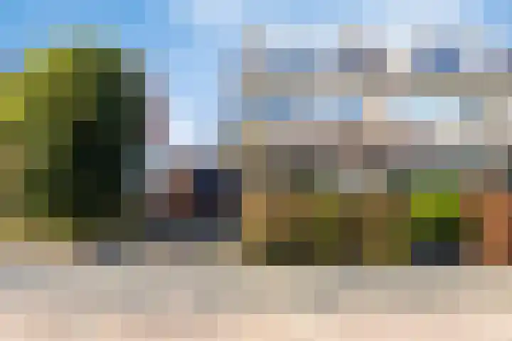 Hildegaarde 14 Maasland thumbnail 5