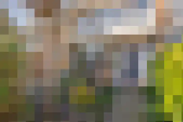 Hildegaarde 14 Maasland thumbnail 7
