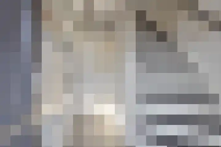 Hildegaarde 14 Maasland thumbnail 9