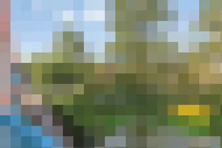 Hildo Kropplein 110 Amsterdam thumbnail 8