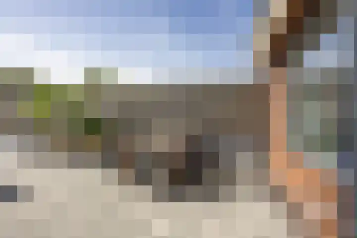 Hillen acker 59 Heemskerk thumbnail 13