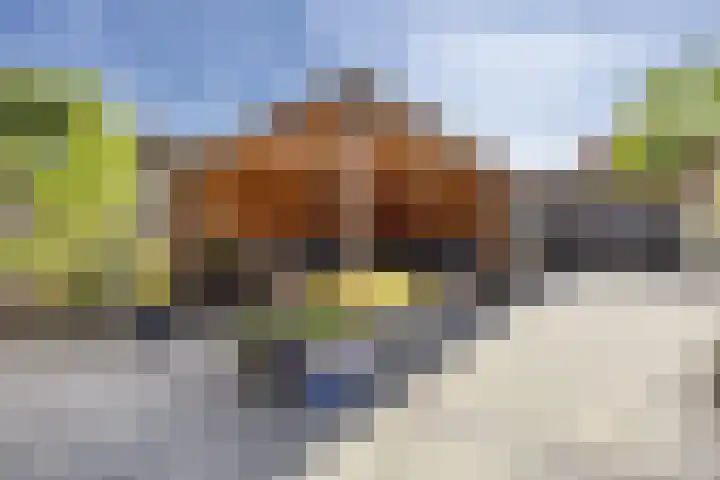 Hillen acker 59 Heemskerk thumbnail 17