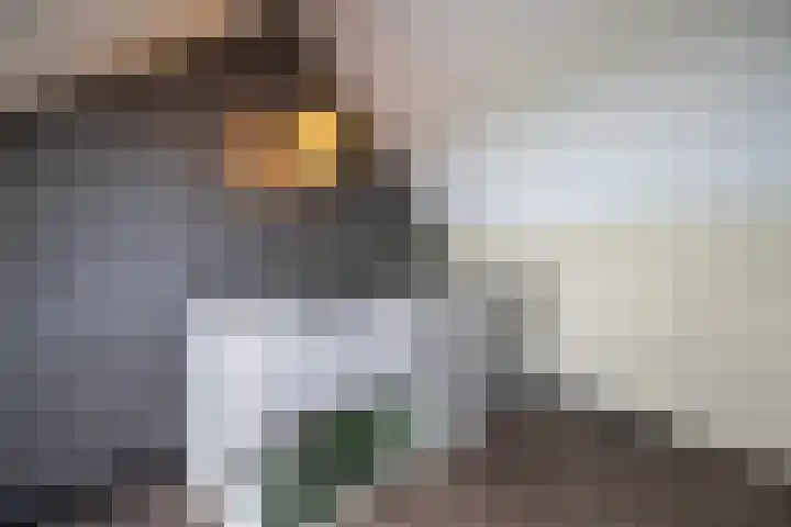 Logo Hillen Makelaardij