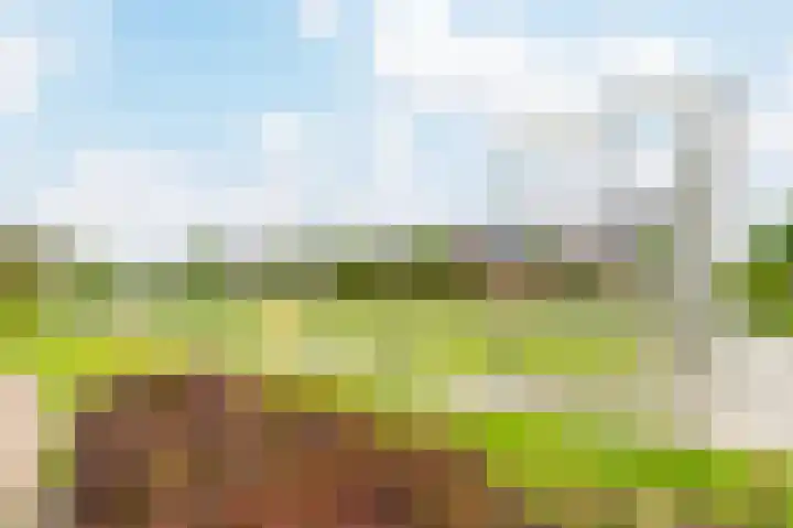 Hillenraad 20 Amstelveen thumbnail 34