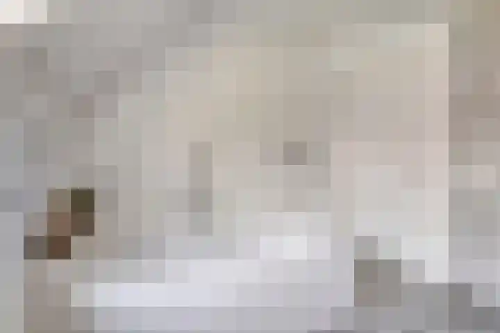 Hilsdijk 84 Hattem thumbnail 22