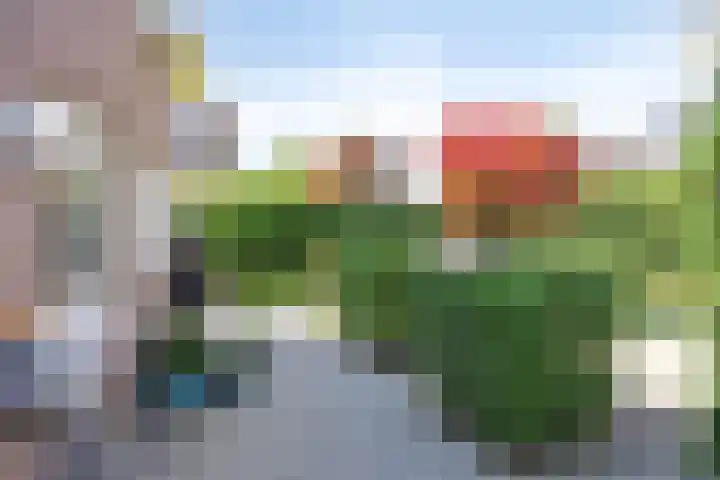 Hilsdijk 84 Hattem thumbnail 32