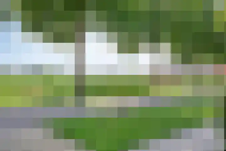 Hilsdijk 84 Hattem thumbnail 42