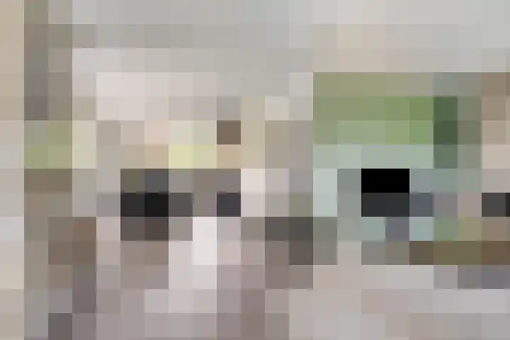 Hilsdijk 84 Hattem thumbnail 5