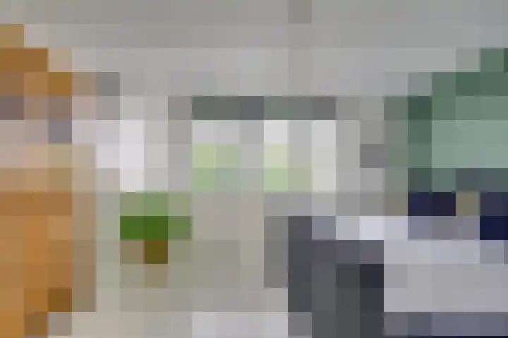 Hilsondusstraat 109 Strijen thumbnail 33