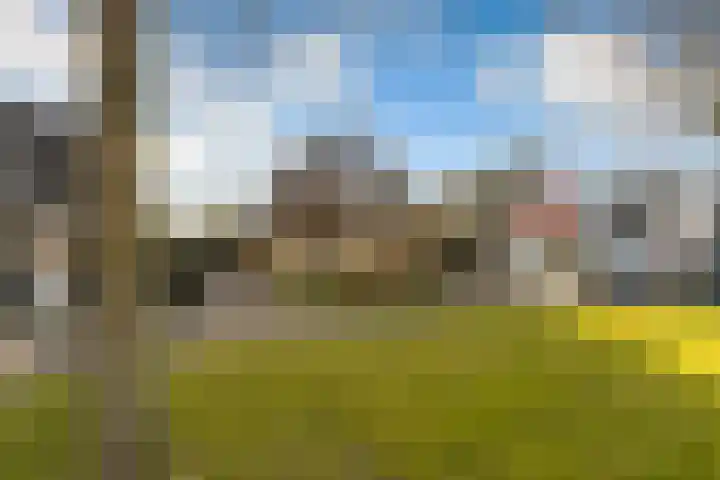Hilsondusstraat 42 Strijen thumbnail 12