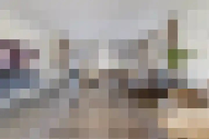 Hilsondusstraat 42 Strijen thumbnail 20