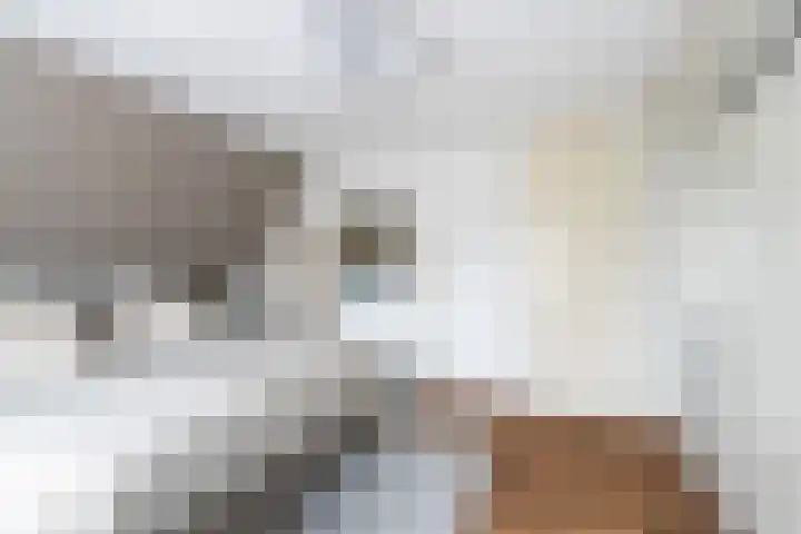 Hilsondusstraat 42 Strijen thumbnail 37