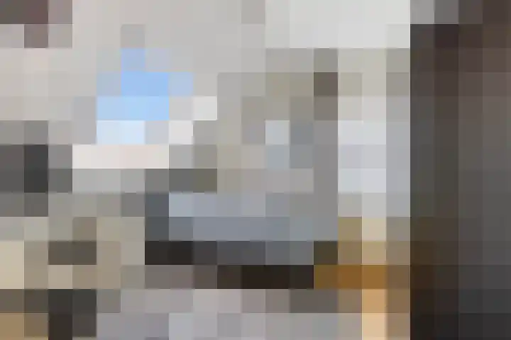 Hilsondusstraat 42 Strijen thumbnail 40