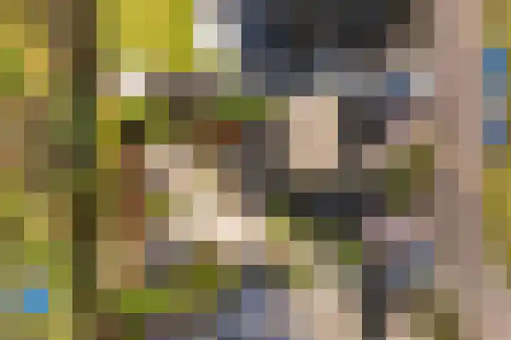 Hilsondusstraat 42 Strijen thumbnail 6