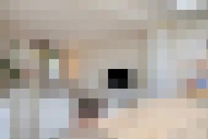 Hilstraat 3 Oude-Tonge thumbnail 14