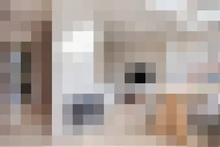 Hilstraat 3 Oude-Tonge thumbnail 15