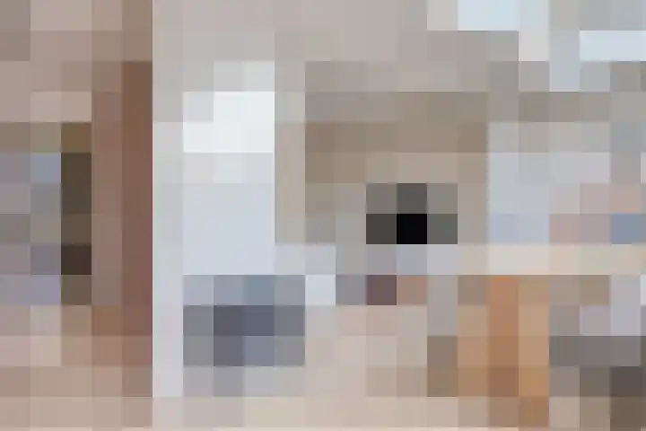 Hilstraat 3 Oude-Tonge thumbnail 16